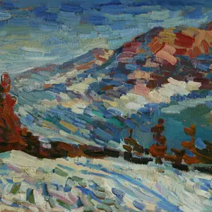 Fir and snow