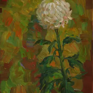 Chrysanthemum