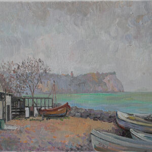 Boats in Vitt village
